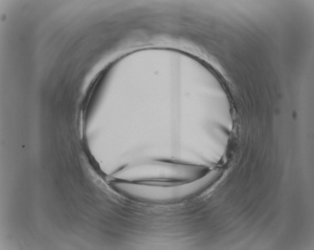 X0000066971510200604211853