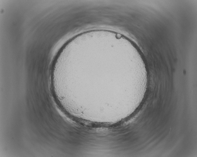 X0000066971511200604211853