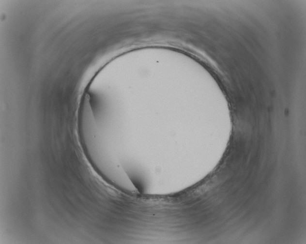 X0000066971512200604211853