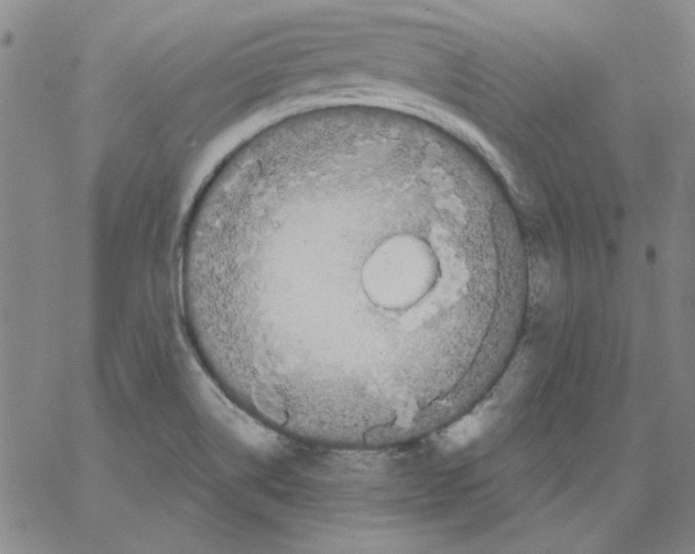 X0000066971514200604211853