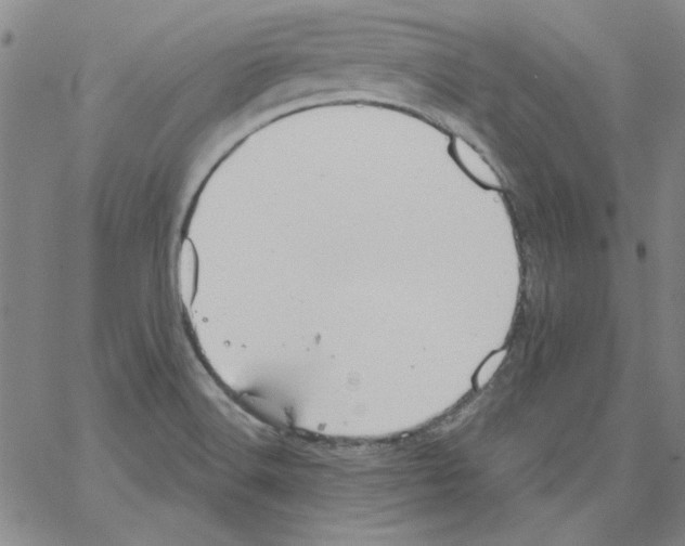 X0000066971516200604211853