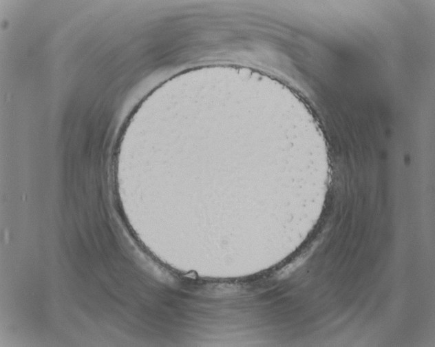 X0000066971517200604211853