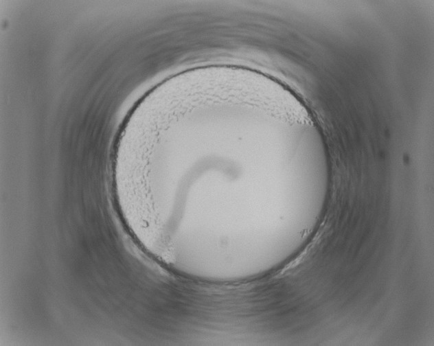 X0000066971518200604211853