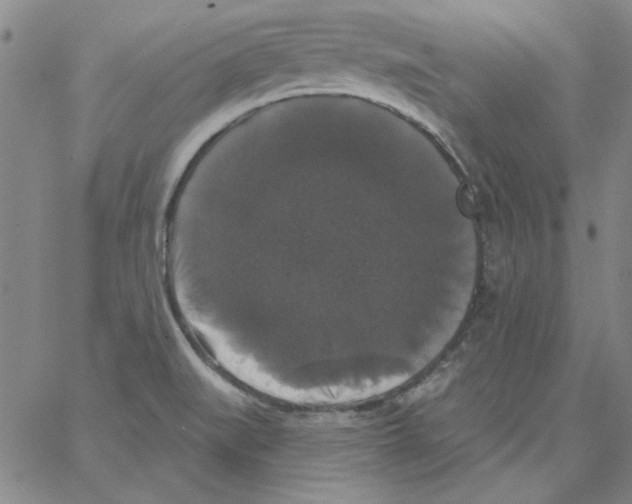 X0000066971519200604211853