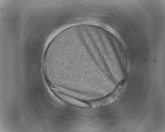 X0000066971520200604211853