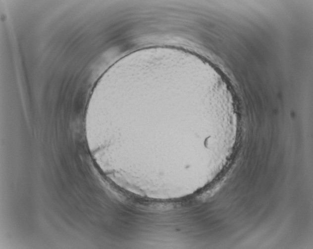 X0000066971521200604211853