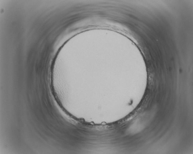 X0000066971523200604211853