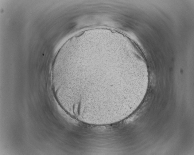 X0000066971524200604211853