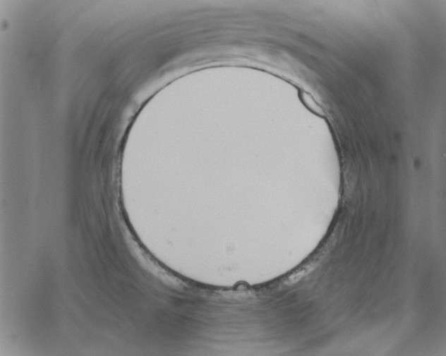 X0000066971526200604211853