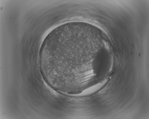 X0000066971527200604211854