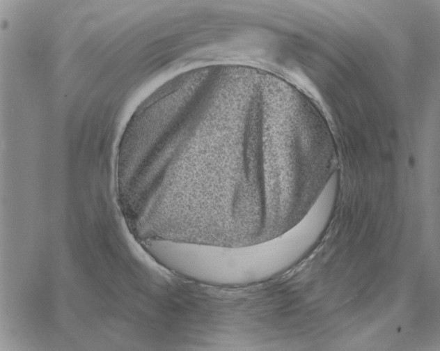 X0000066971528200604211854