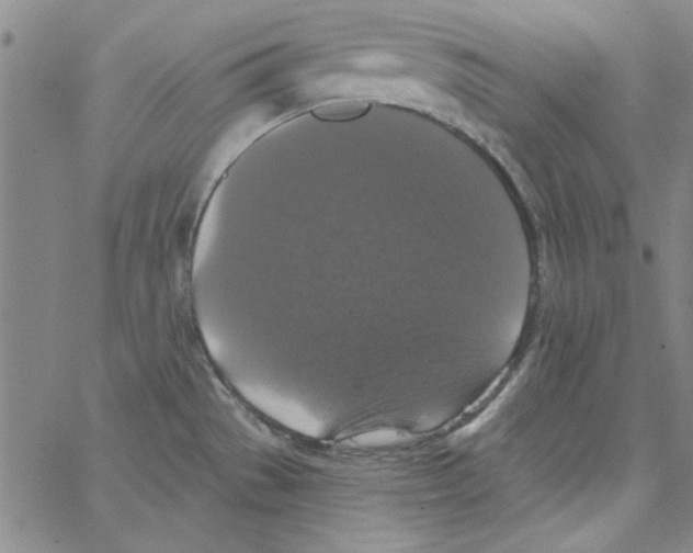 X0000066971529200604211854