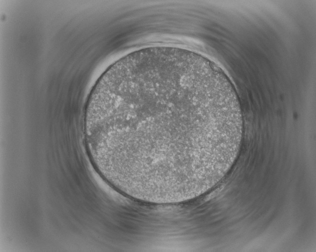 X0000066971531200604211854