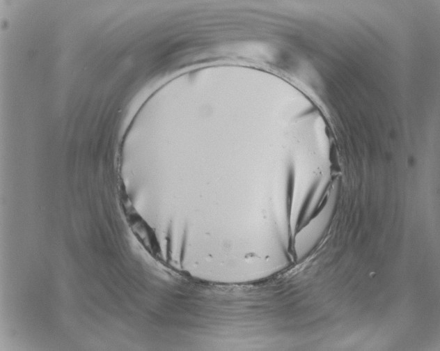 X0000066971532200604211854