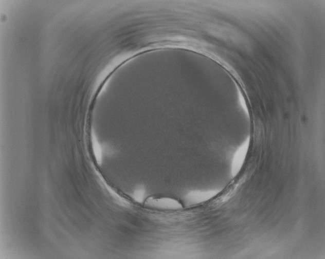 X0000066971533200604211854