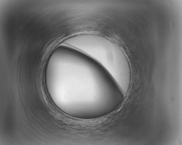 X0000066980001200603241057