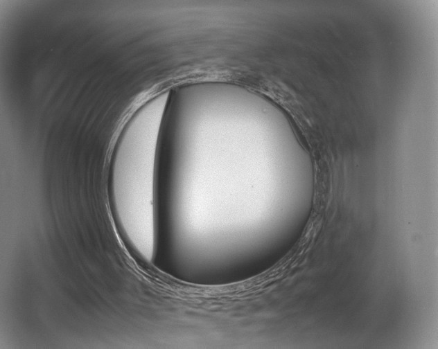 X0000066980003200603241057