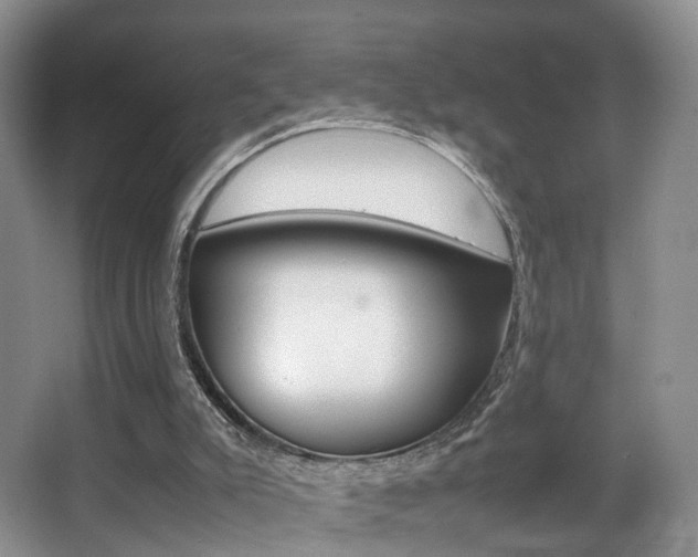 X0000066980007200603241057
