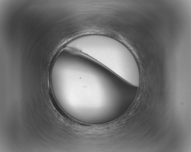 X0000066980011200603241057