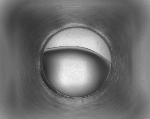 X0000066980015200603241057