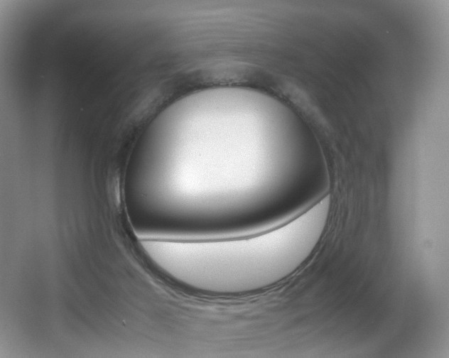 X0000066980021200603241057