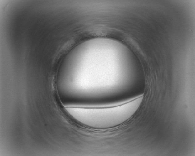 X0000066980023200603241057