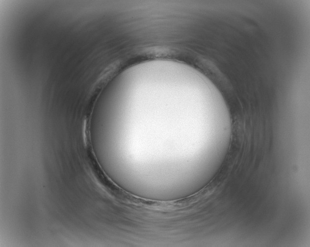 X0000066980024200603241057