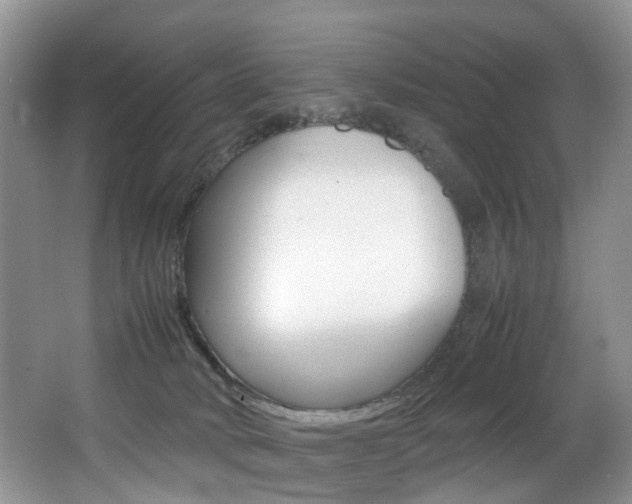 X0000066980034200603241057