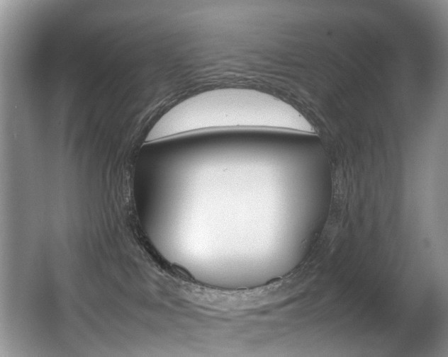 X0000066980043200603241056