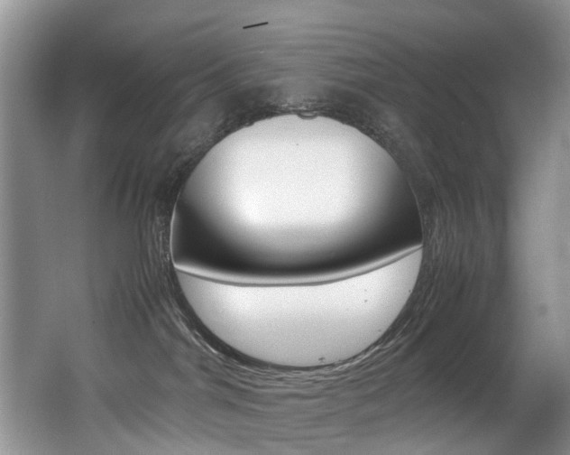 X0000066980044200603241056