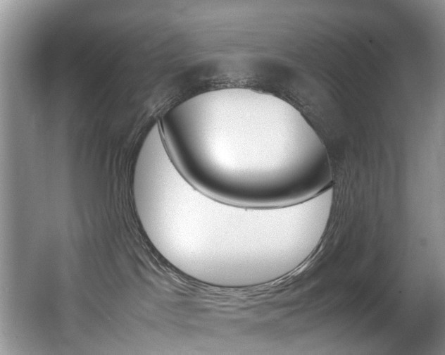 X0000066980045200603241056