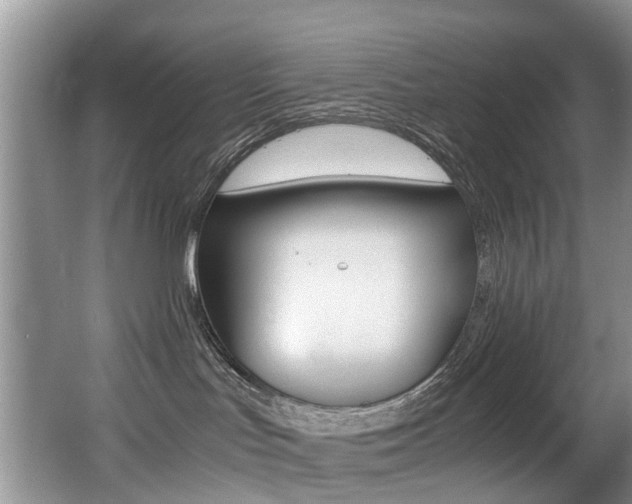 X0000066980047200603241056