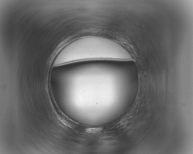 X0000066980051200603241056