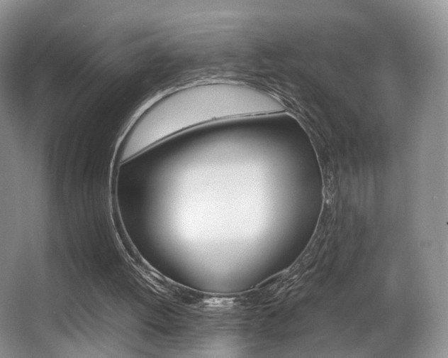 X0000066980052200603241056