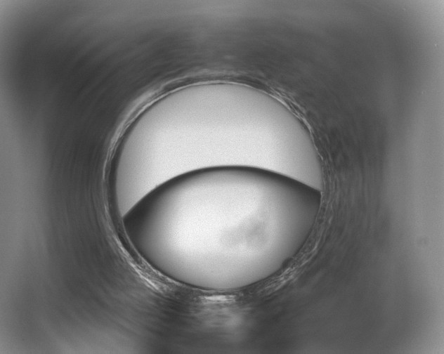 X0000066980053200603241056