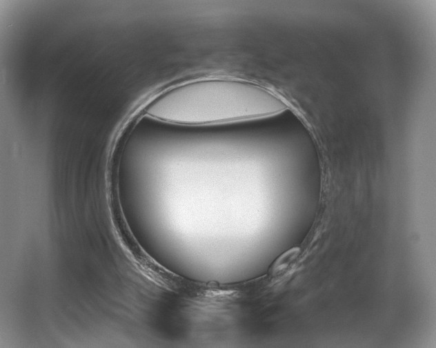 X0000066980055200603241056