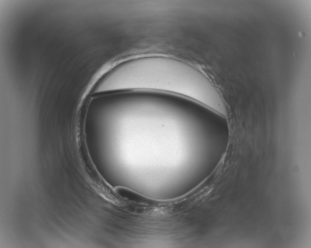X0000066980056200603241056