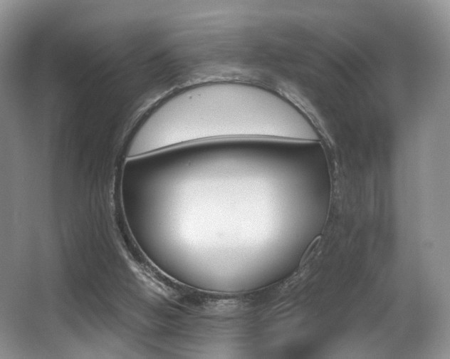 X0000066980058200603241056