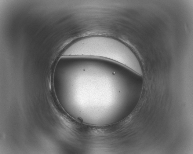 X0000066980062200603241056