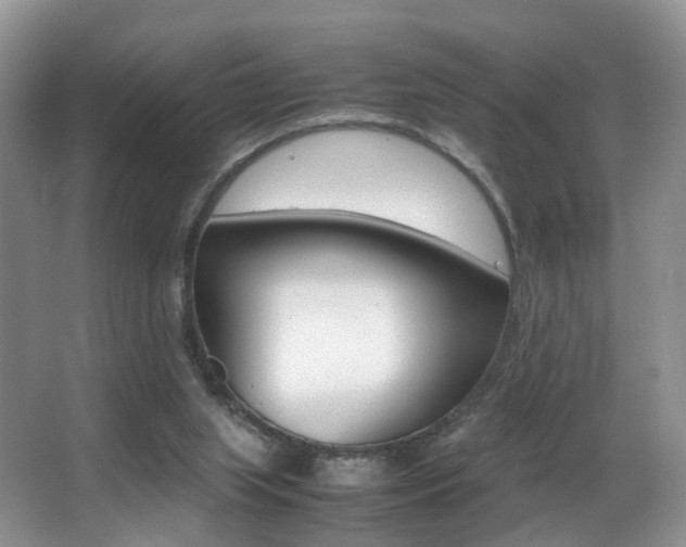 X0000066980063200603241056