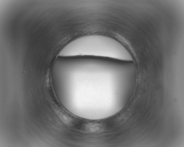 X0000066980065200603241056