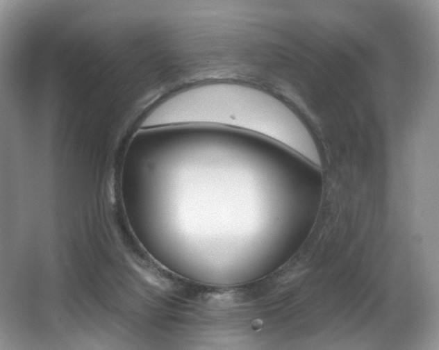 X0000066980068200603241056