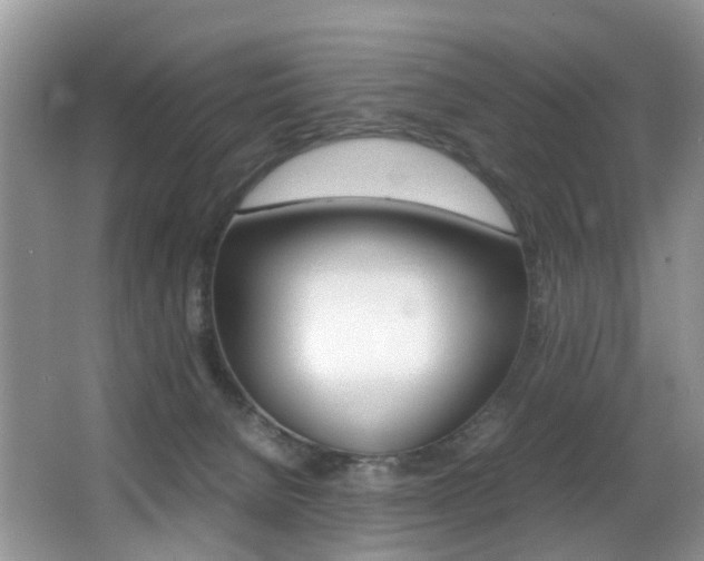 X0000066980080200603241056