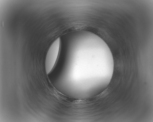 X0000066980082200603241056