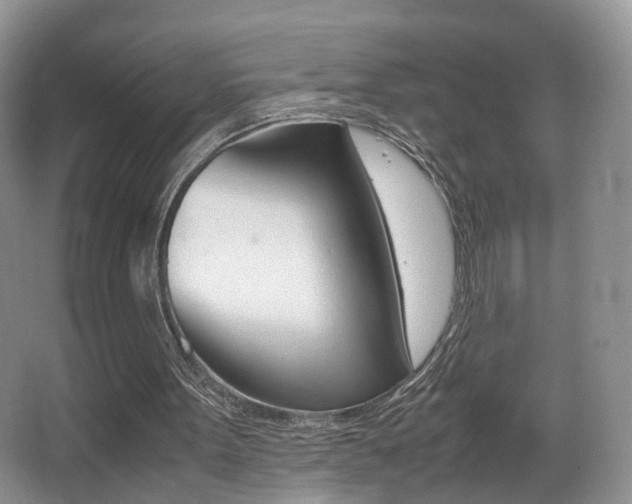 X0000066980099200603241056