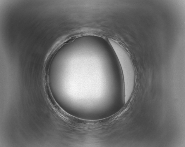 X0000066980101200603241056