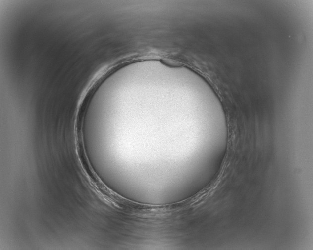 X0000066980102200603241056