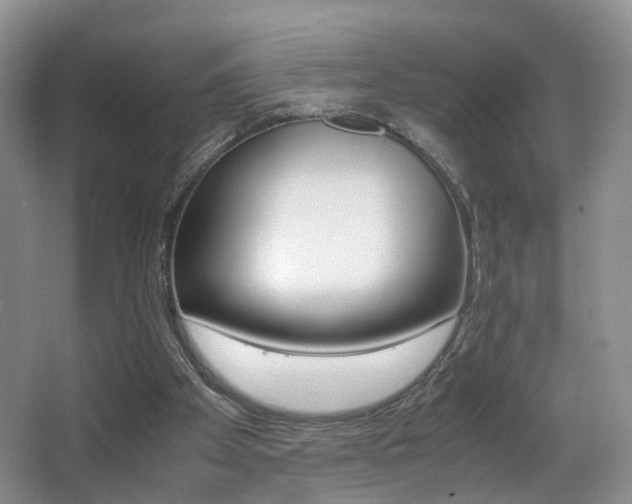 X0000066980105200603241055