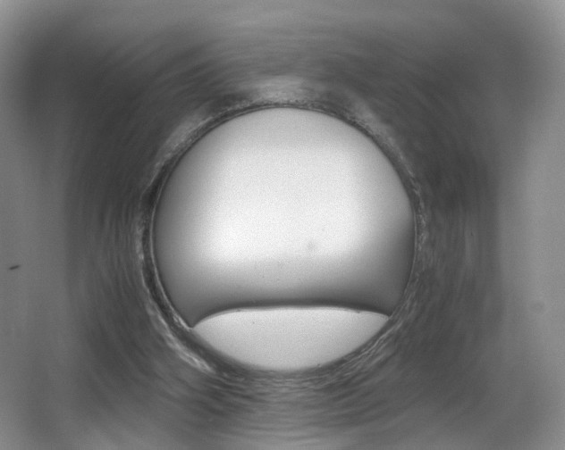 X0000066980106200603241055