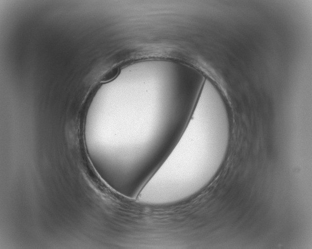 X0000066980107200603241055